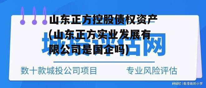 山东正方控股债权资产(山东正方实业发展有限公司是国企吗)