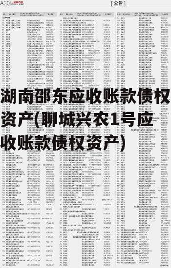 湖南邵东应收账款债权资产(聊城兴农1号应收账款债权资产)