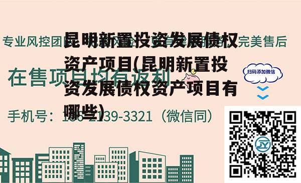 昆明新置投资发展债权资产项目(昆明新置投资发展债权资产项目有哪些)