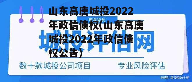 山东高唐城投2022年政信债权(山东高唐城投2022年政信债权公告)