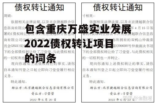 包含重庆万盛实业发展2022债权转让项目的词条