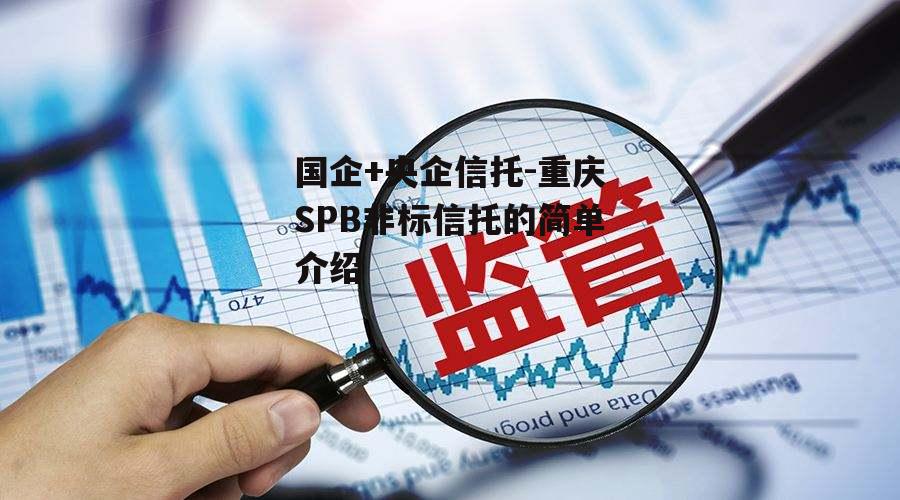 国企+央企信托-重庆SPB非标信托的简单介绍