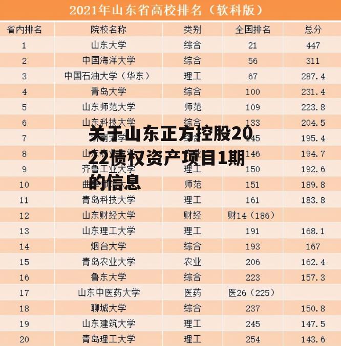 关于山东正方控股2022债权资产项目1期的信息