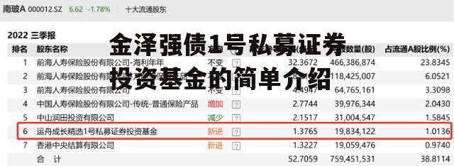 金泽强债1号私募证券投资基金的简单介绍