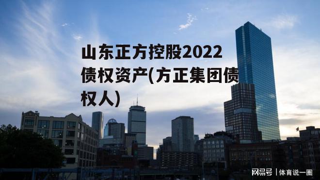 山东正方控股2022债权资产(方正集团债权人)