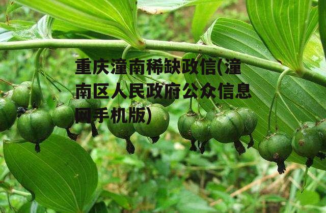 重庆潼南稀缺政信(潼南区人民政府公众信息网手机版)