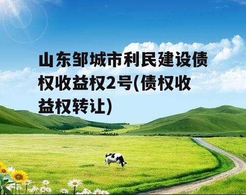 山东邹城市利民建设债权收益权2号(债权收益权转让)