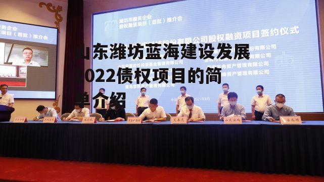 山东潍坊蓝海建设发展2022债权项目的简单介绍