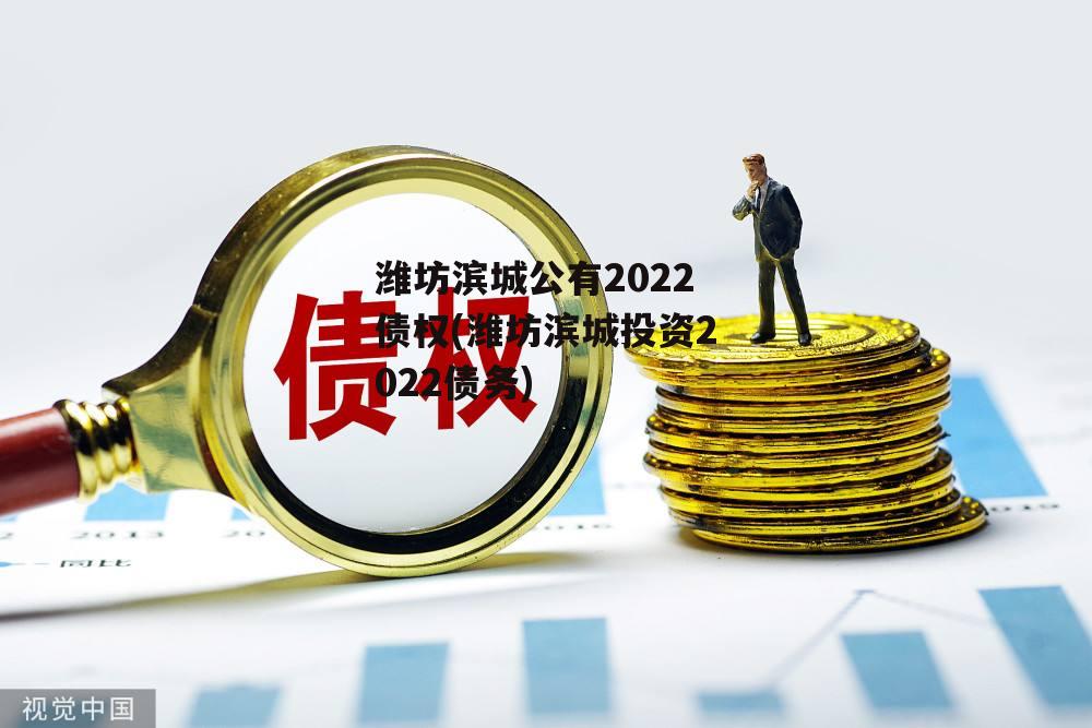 潍坊滨城公有2022债权(潍坊滨城投资2022债务)