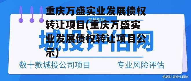 重庆万盛实业发展债权转让项目(重庆万盛实业发展债权转让项目公示)