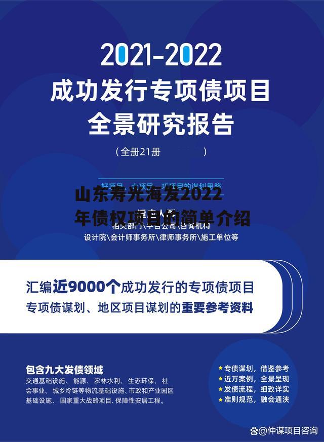 山东寿光海发2022年债权项目的简单介绍