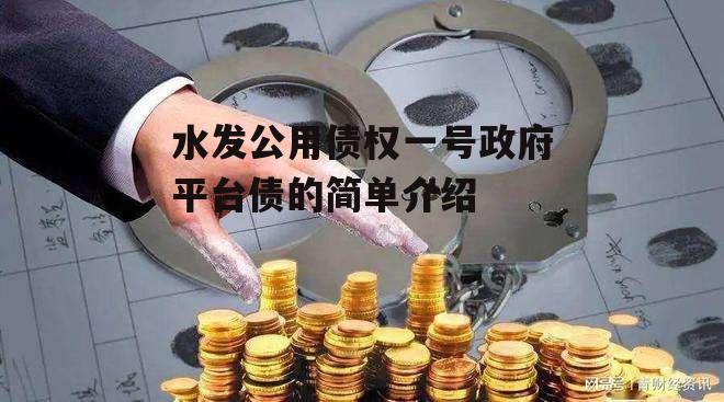 水发公用债权一号政府平台债的简单介绍