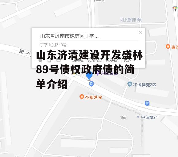 山东济清建设开发盛林89号债权政府债的简单介绍