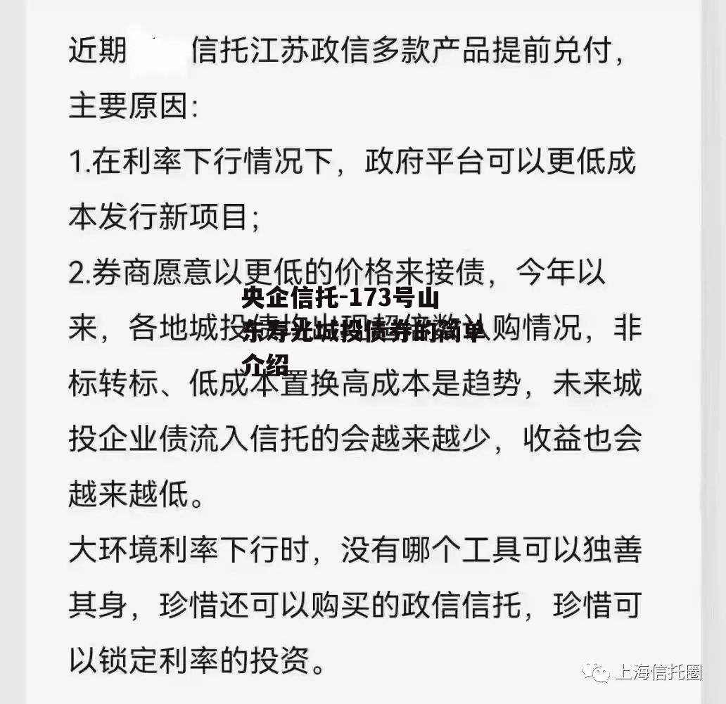 央企信托-173号山东寿光城投债券的简单介绍