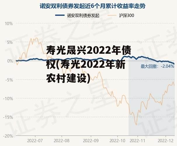 寿光晟兴2022年债权(寿光2022年新农村建设)