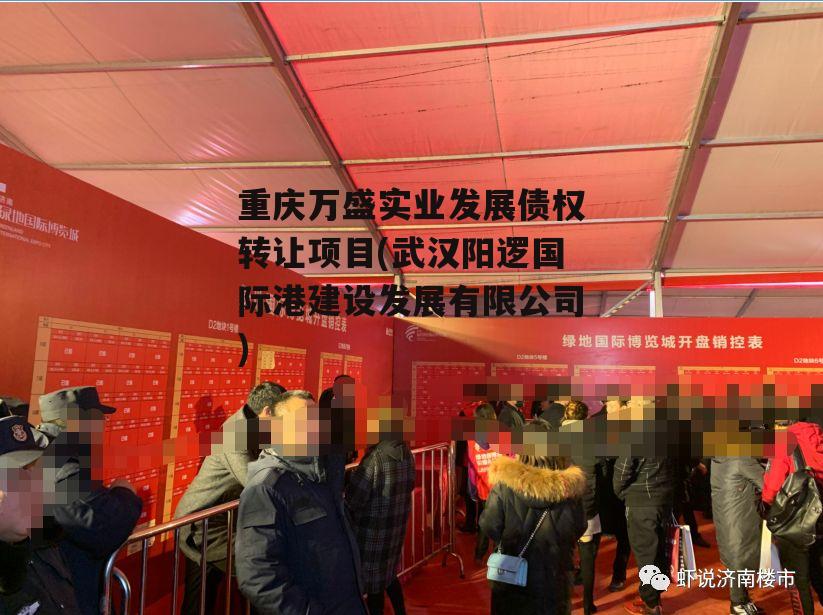 重庆万盛实业发展债权转让项目(武汉阳逻国际港建设发展有限公司)