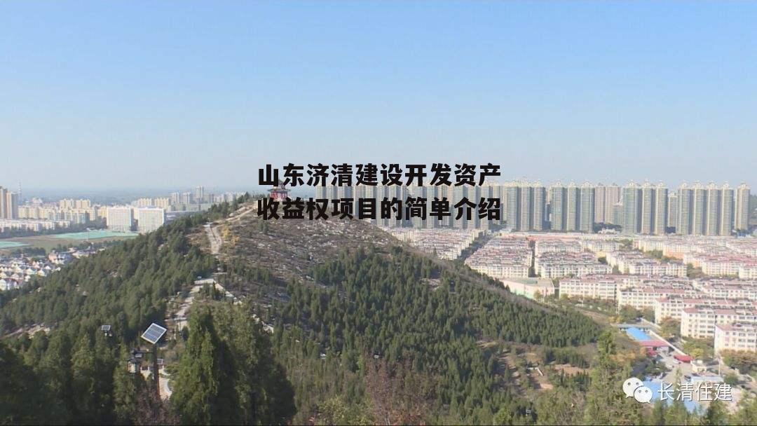 山东济清建设开发资产收益权项目的简单介绍