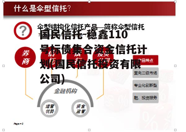 国民信托-稳鑫110号标债集合资金信托计划(国民信托投资有限公司)