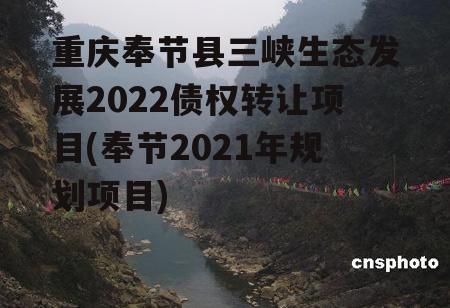 重庆奉节县三峡生态发展2022债权转让项目(奉节2021年规划项目)