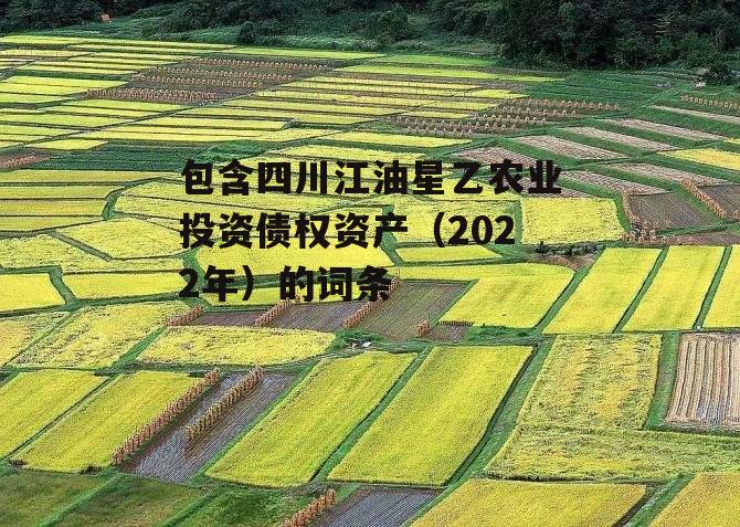 包含四川江油星乙农业投资债权资产（2022年）的词条