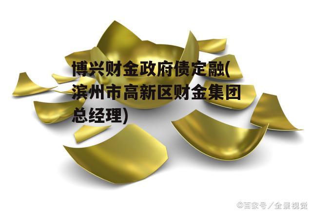 博兴财金政府债定融(滨州市高新区财金集团总经理)