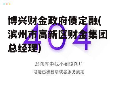 博兴财金政府债定融(滨州市高新区财金集团总经理)