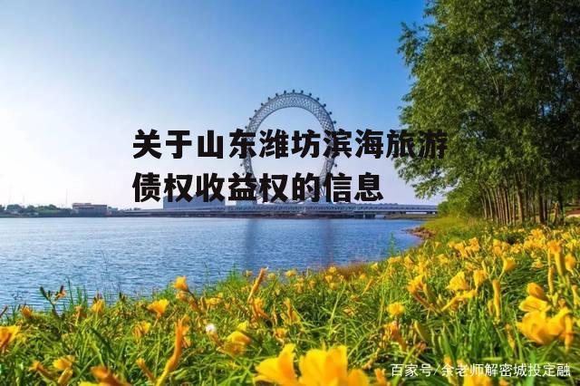 关于山东潍坊滨海旅游债权收益权的信息