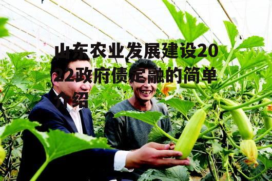 山东农业发展建设2022政府债定融的简单介绍