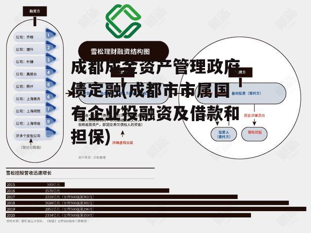 成都成金资产管理政府债定融(成都市市属国有企业投融资及借款和担保)