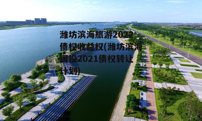 潍坊滨海旅游2022债权收益权(潍坊滨海国投2021债权转让计划)