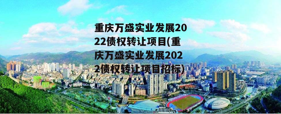 重庆万盛实业发展2022债权转让项目(重庆万盛实业发展2022债权转让项目招标)