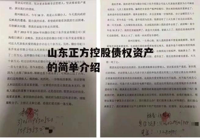 山东正方控股债权资产的简单介绍