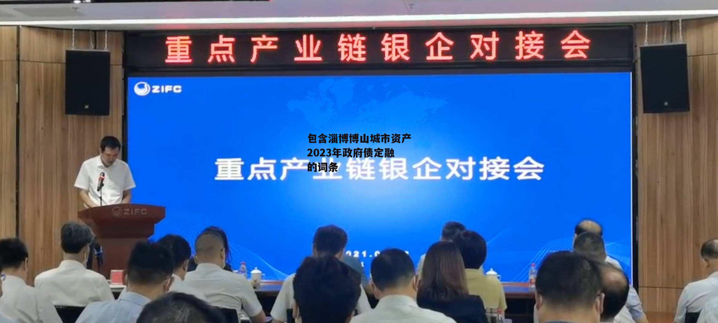 包含淄博博山城市资产2023年政府债定融的词条