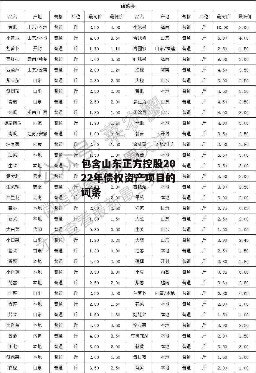 包含山东正方控股2022年债权资产项目的词条