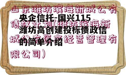 央企信托-国兴115潍坊高创建投标债政信的简单介绍