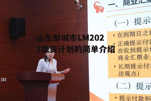 山东邹城市LM2022融资计划的简单介绍