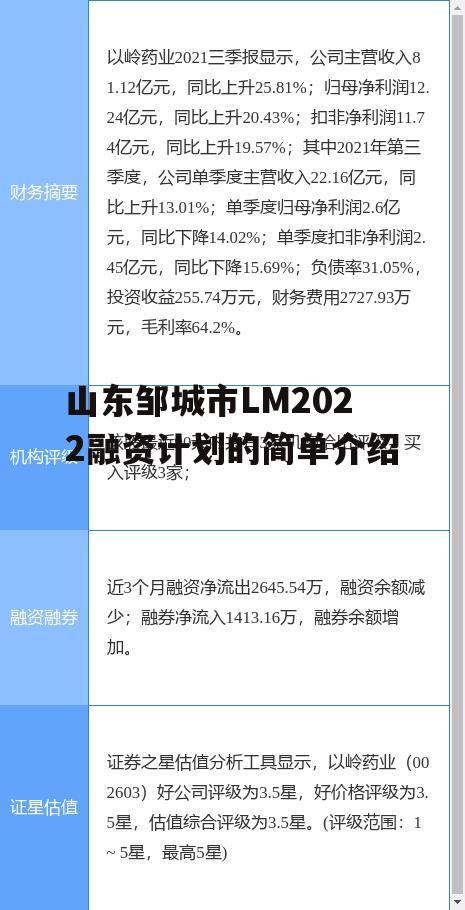 山东邹城市LM2022融资计划的简单介绍