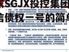 山东SGJX投控集团政信债权一号的简单介绍