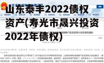 山东泰丰2022债权资产(寿光市晟兴投资2022年债权)