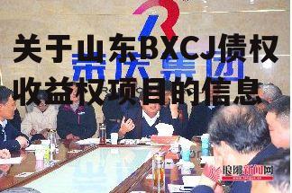 关于山东BXCJ债权收益权项目的信息