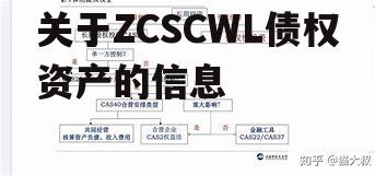 关于ZCSCWL债权资产的信息