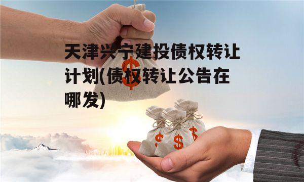 天津兴宁建投债权转让计划(债权转让公告在哪发)