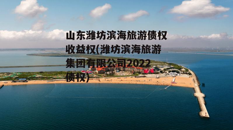 山东潍坊滨海旅游债权收益权(潍坊滨海旅游集团有限公司2022债权)