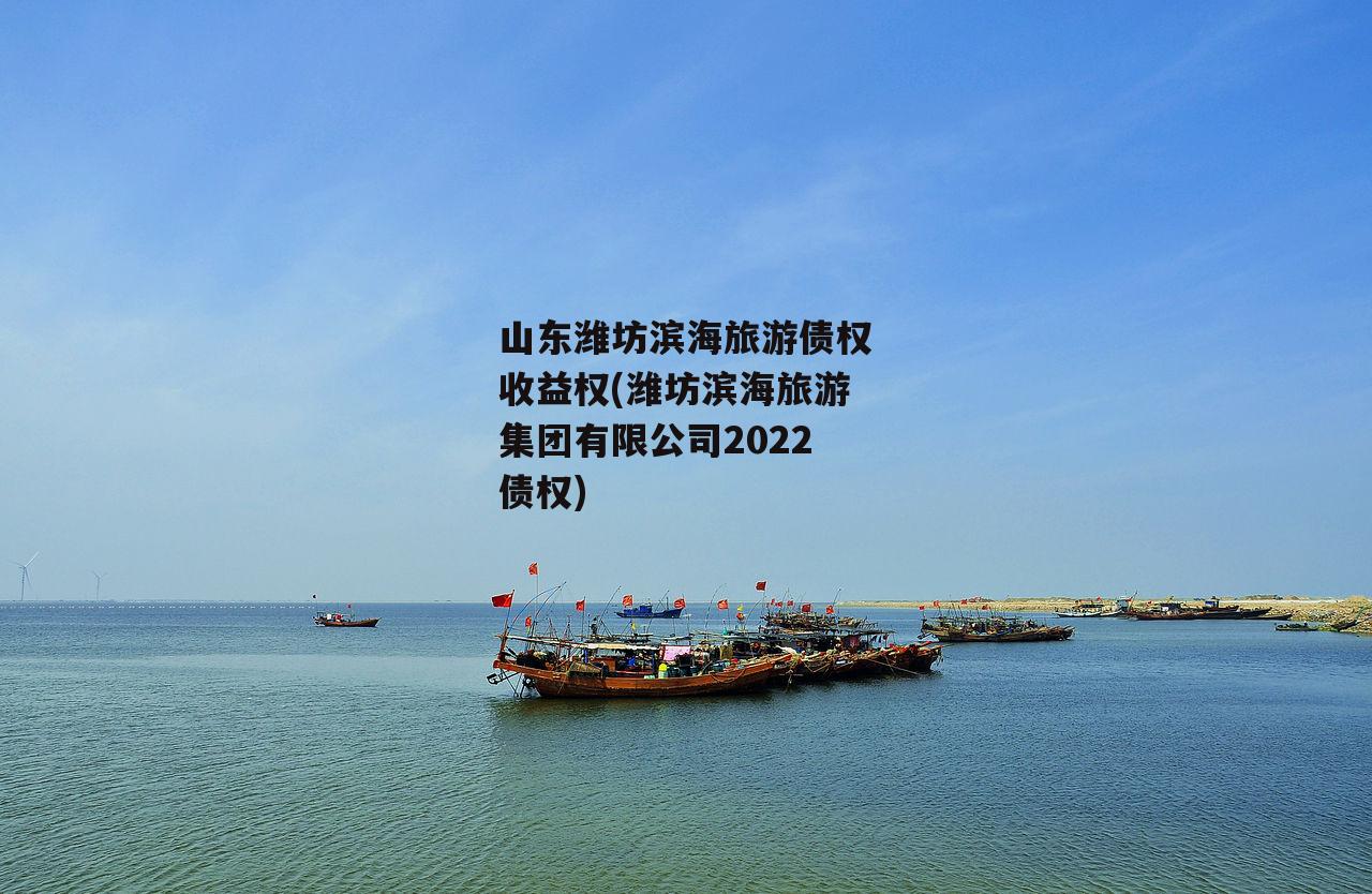 山东潍坊滨海旅游债权收益权(潍坊滨海旅游集团有限公司2022债权)