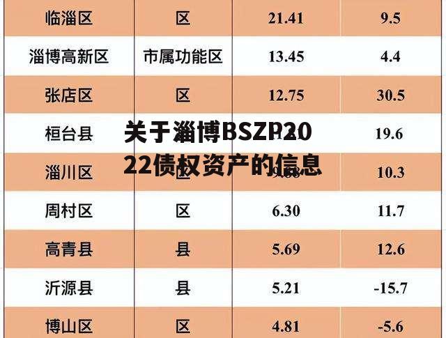 关于淄博BSZP2022债权资产的信息