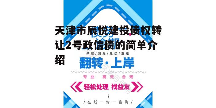 天津市辰悦建投债权转让2号政信债的简单介绍