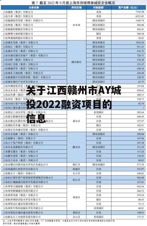 关于江西赣州市AY城投2022融资项目的信息