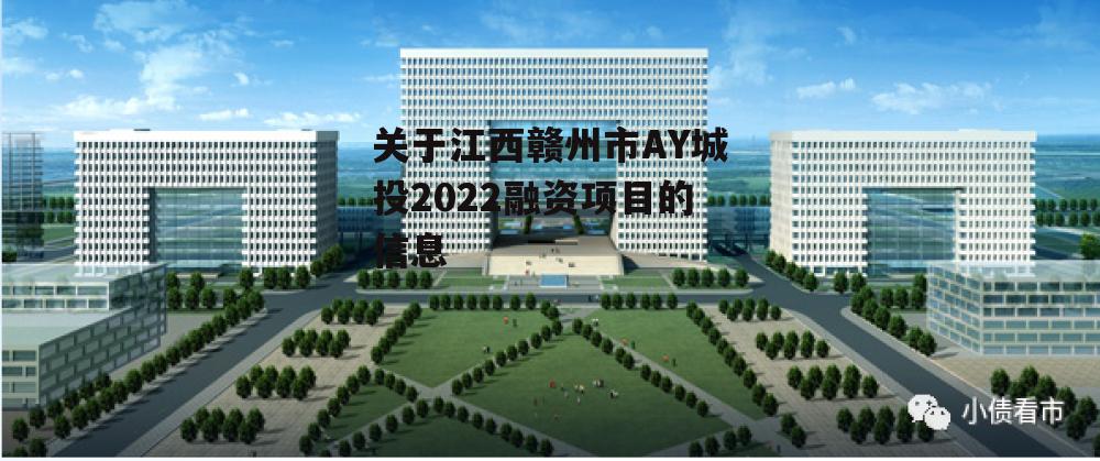 关于江西赣州市AY城投2022融资项目的信息