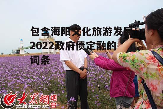 包含海阳文化旅游发展2022政府债定融的词条