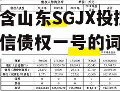 包含山东SGJX投控政信债权一号的词条